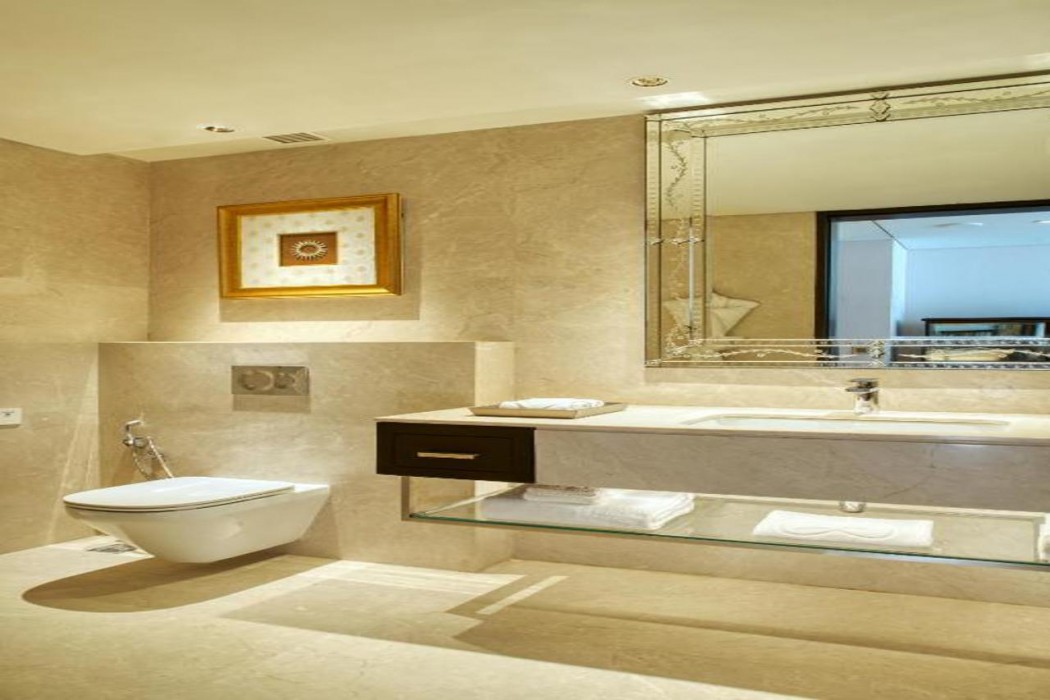 The Leela Gandhinagar 13/46