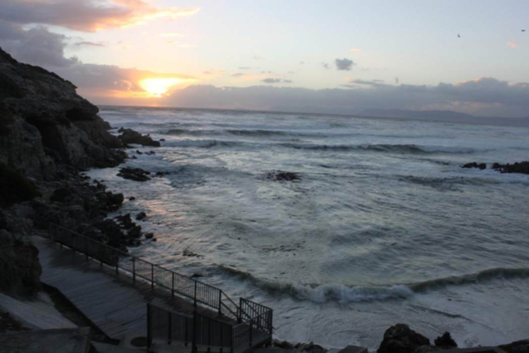 SEAesta 5/14