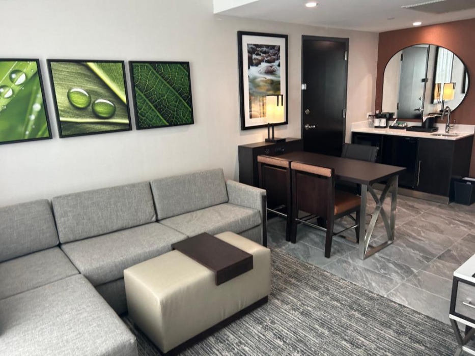 Embassy Suites by Hilton Alpharetta Halcyon 19/49