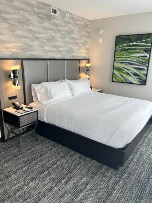 Embassy Suites by Hilton Alpharetta Halcyon 12/49
