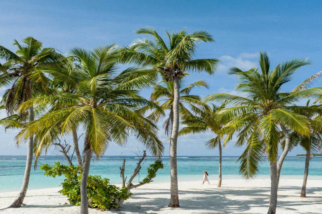 Alila Kothaifaru Maldives 79/117