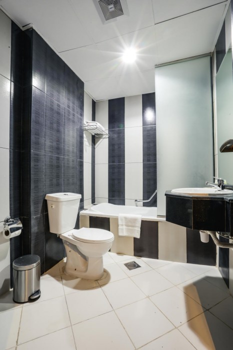 Vendome Plaza Hotel 17/62
