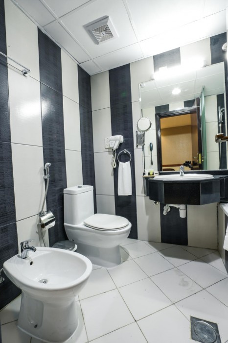 Vendome Plaza Hotel 18/62