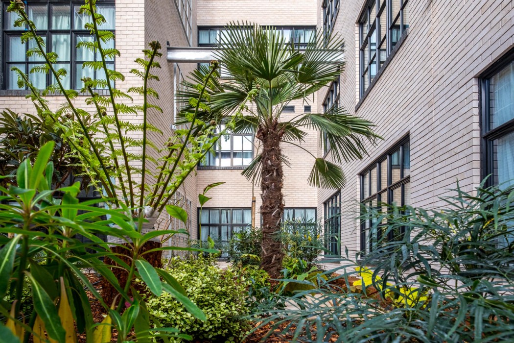 Second Nature Chiswick in LONDON