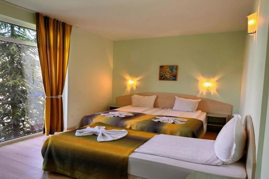 Hotel Dalis 11/40