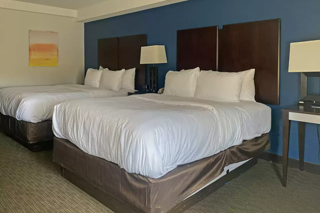 MainStay Suites Conover-Hickory 15/32