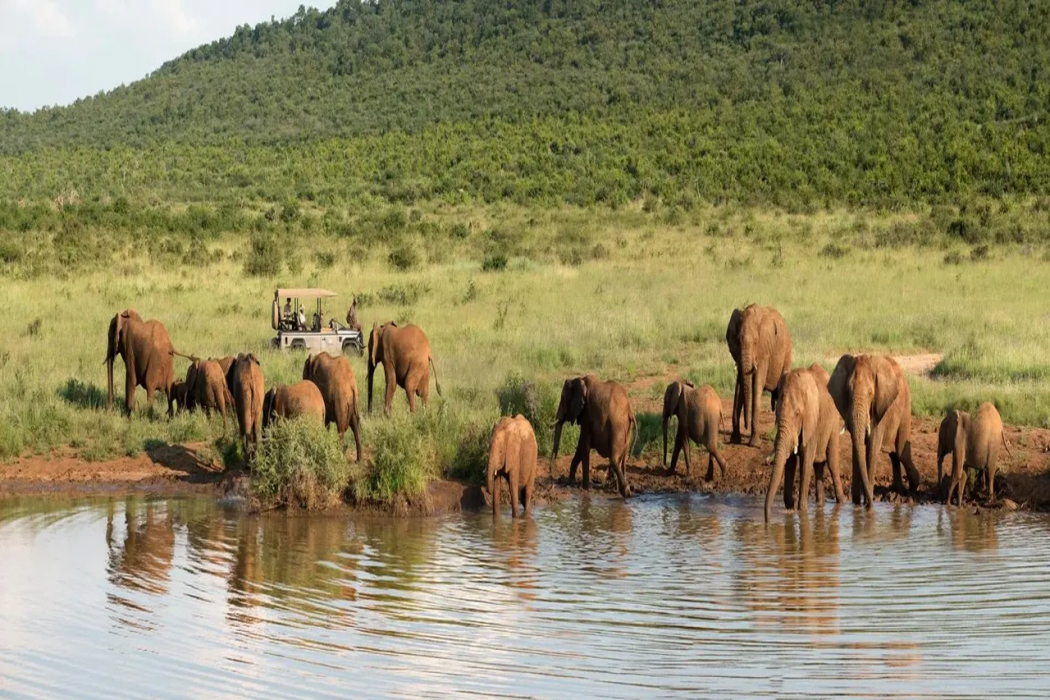 Morukuru Family Madikwe 17/19