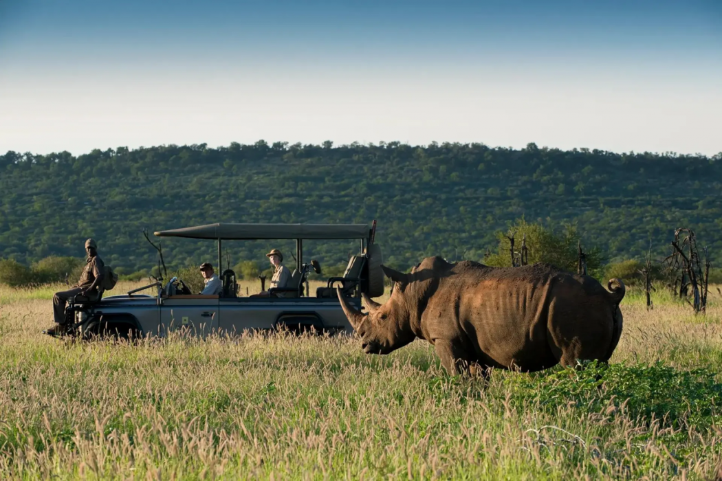 Morukuru Family Madikwe 15/19