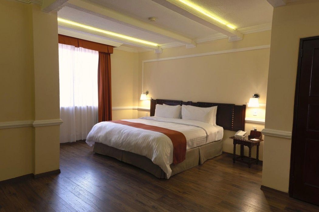 Hotel Geneve Mexico City 24/59