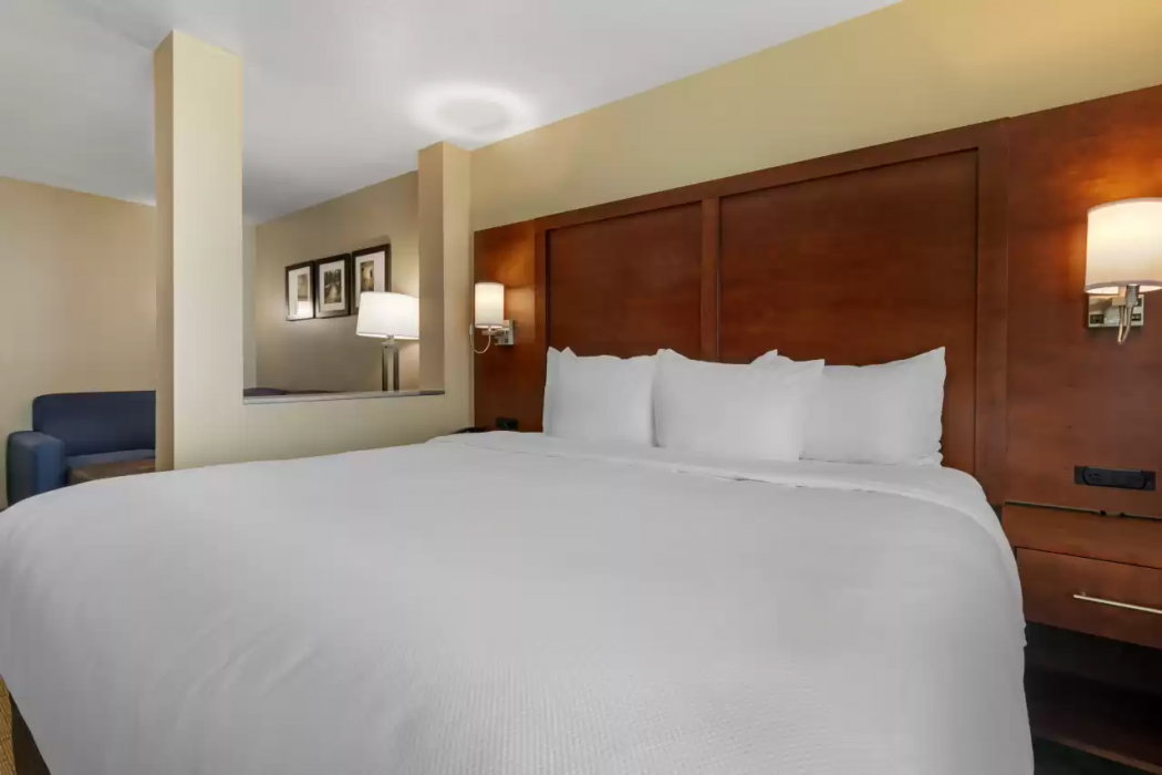 Comfort Inn & Suites Euless DFW West 19/45