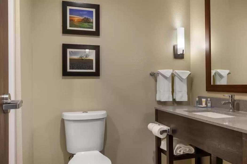 Comfort Inn & Suites Euless DFW West 18/45