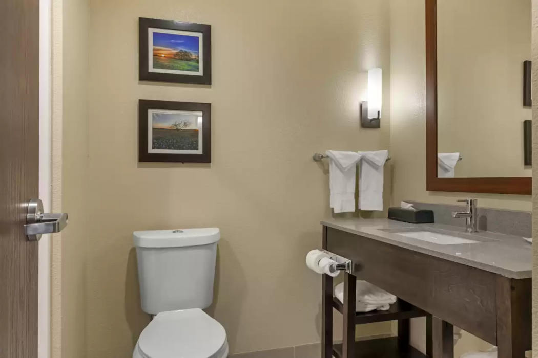 Comfort Inn & Suites Euless DFW West 24/45