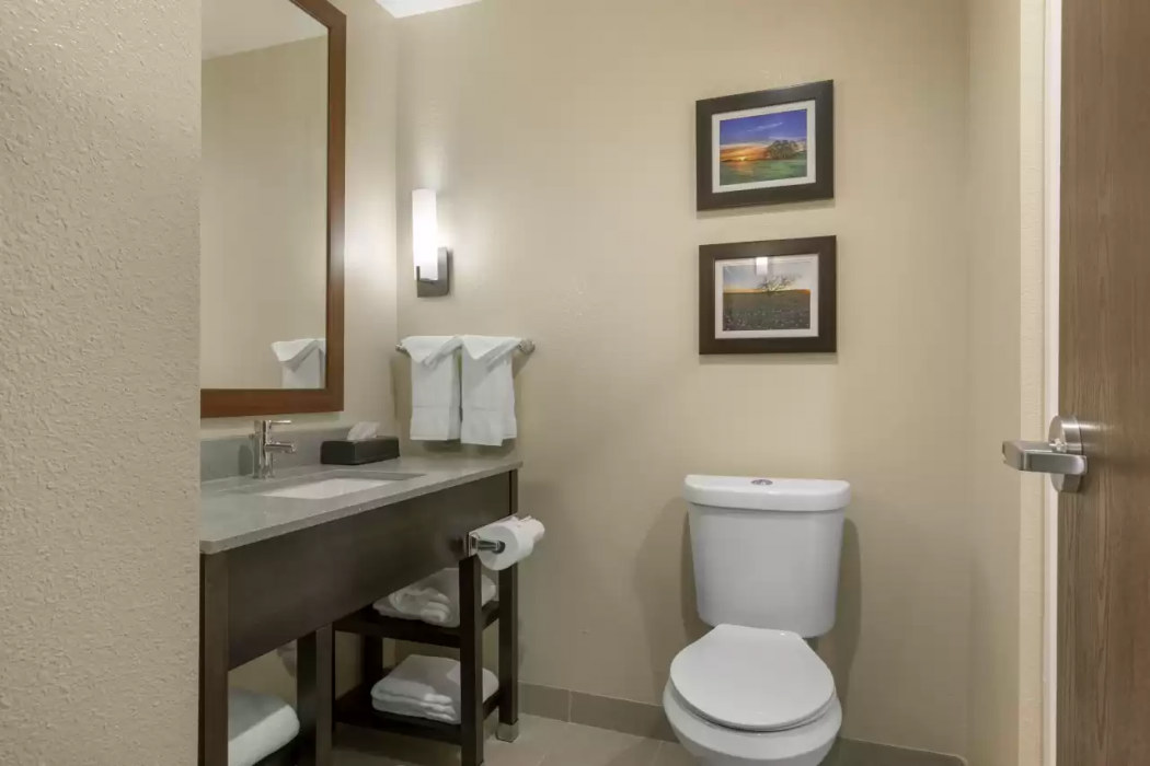 Comfort Inn & Suites Euless DFW West 22/45