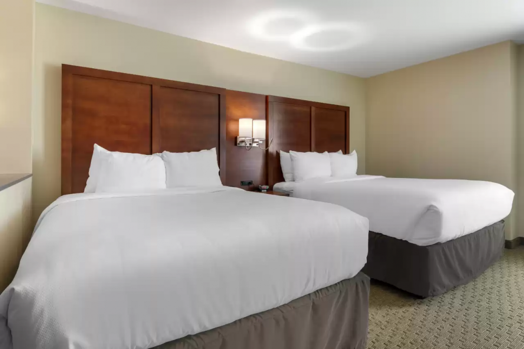 Comfort Inn & Suites Euless DFW West 13/45