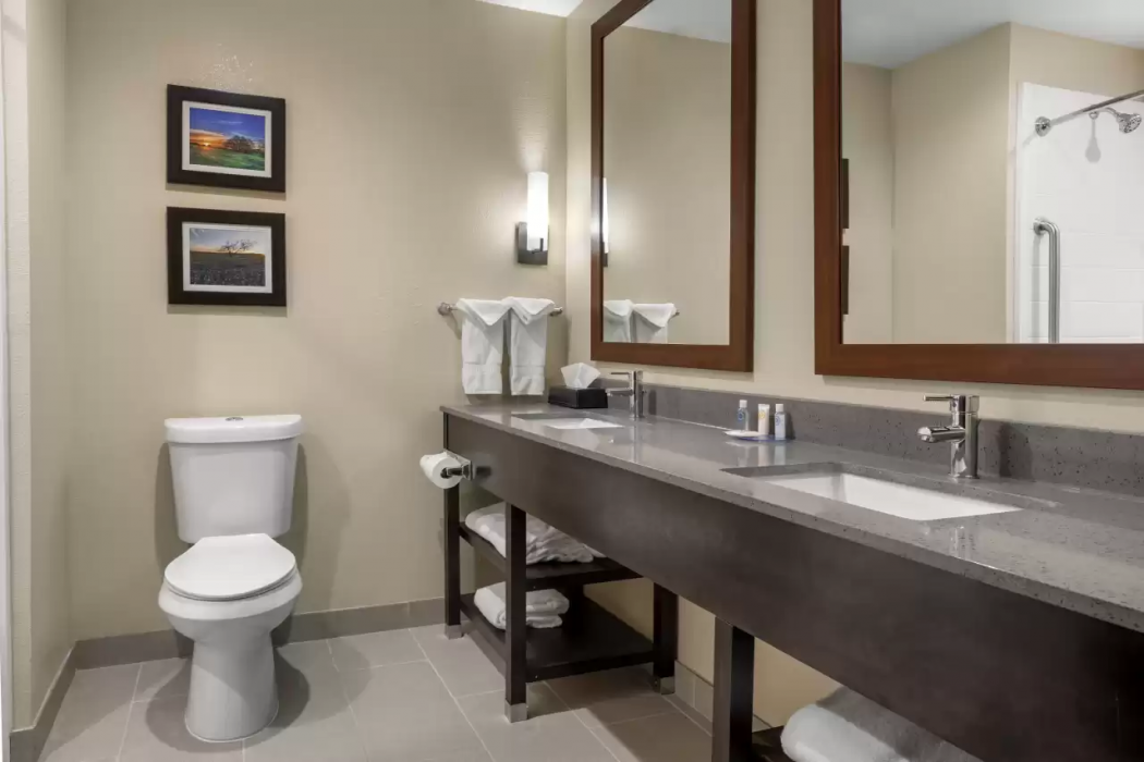 Comfort Inn & Suites Euless DFW West 25/45