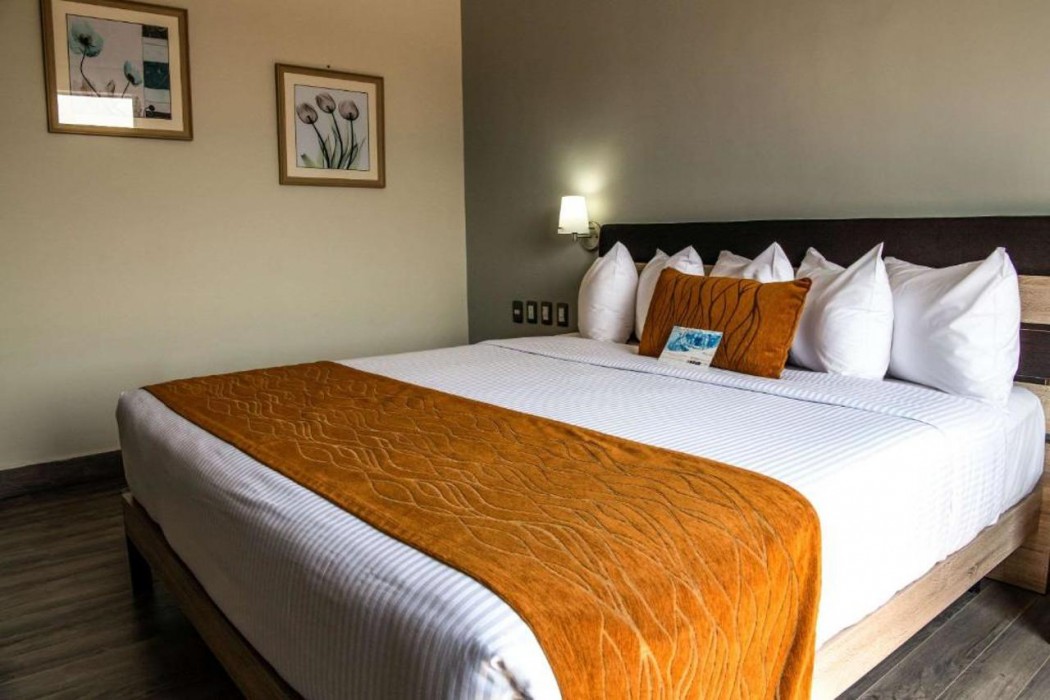 Comfort Inn Irapuato, GUA 6/43