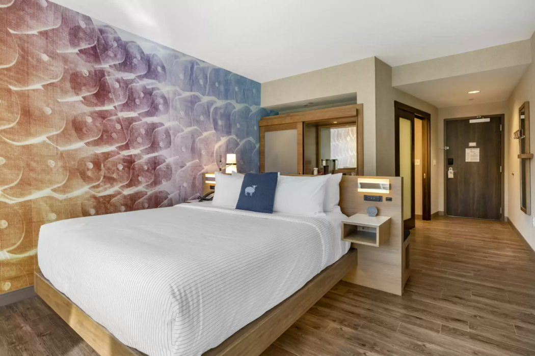 Cambria Hotel Manchester South Windsor 15/38