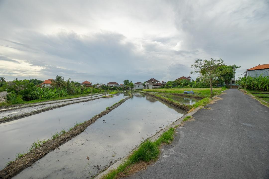 Fourleaf in Canggu