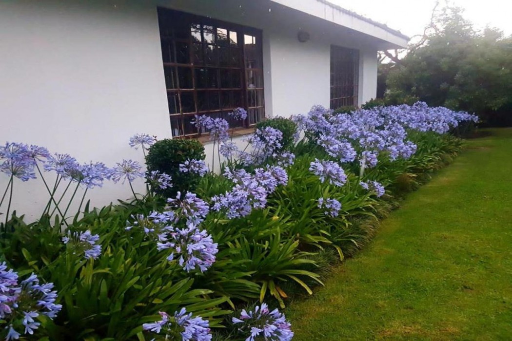 Paradise View Guesthouse 2/24