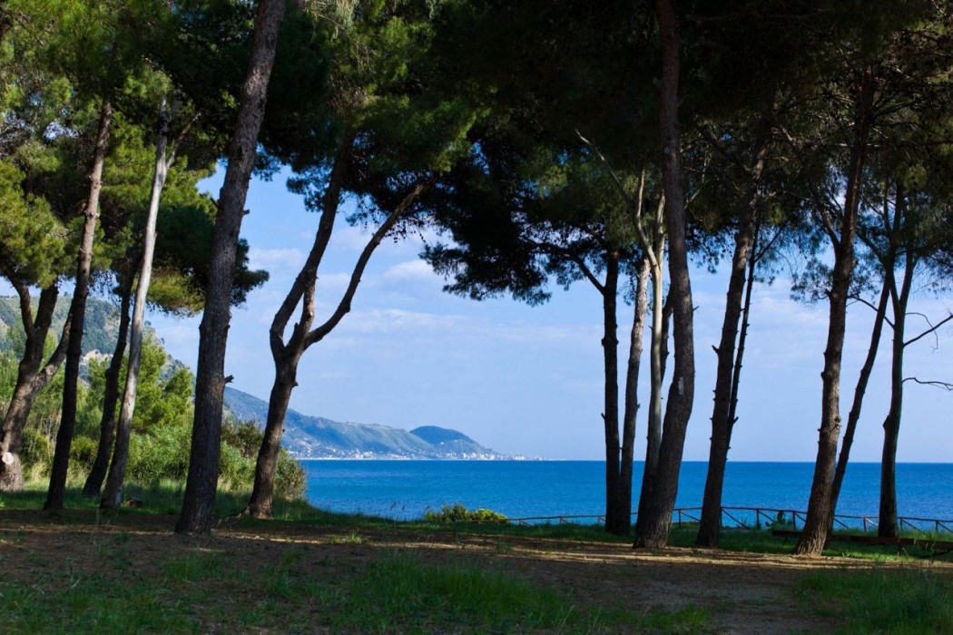 Futura Club Eleamare 1/30