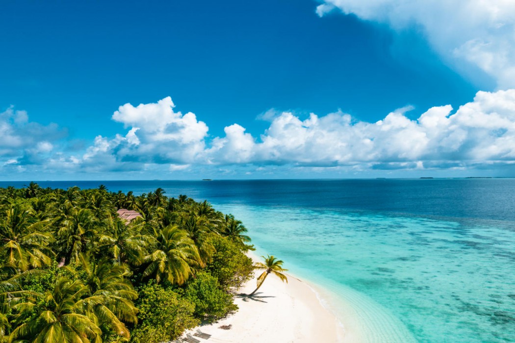 Avani+ Fares Maldives Resort 123/164