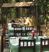 Kanha Jungle Lodge 15/25