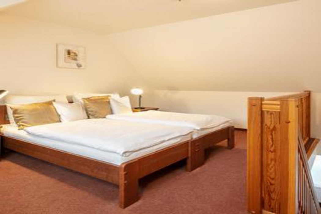 Pytloun Wellness Hotel Hasistejn 10/58