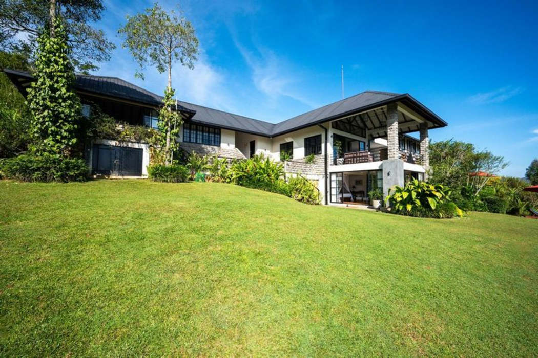 Camellia Hills photo5