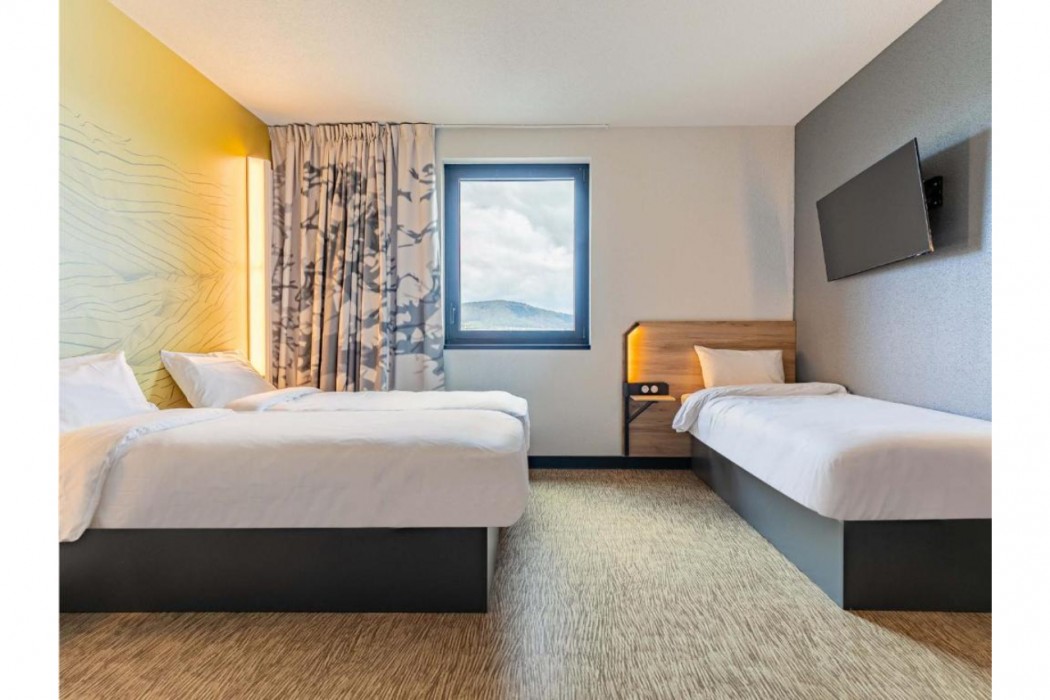 B&B Hotel Selestat Centre-Alsace 17/39