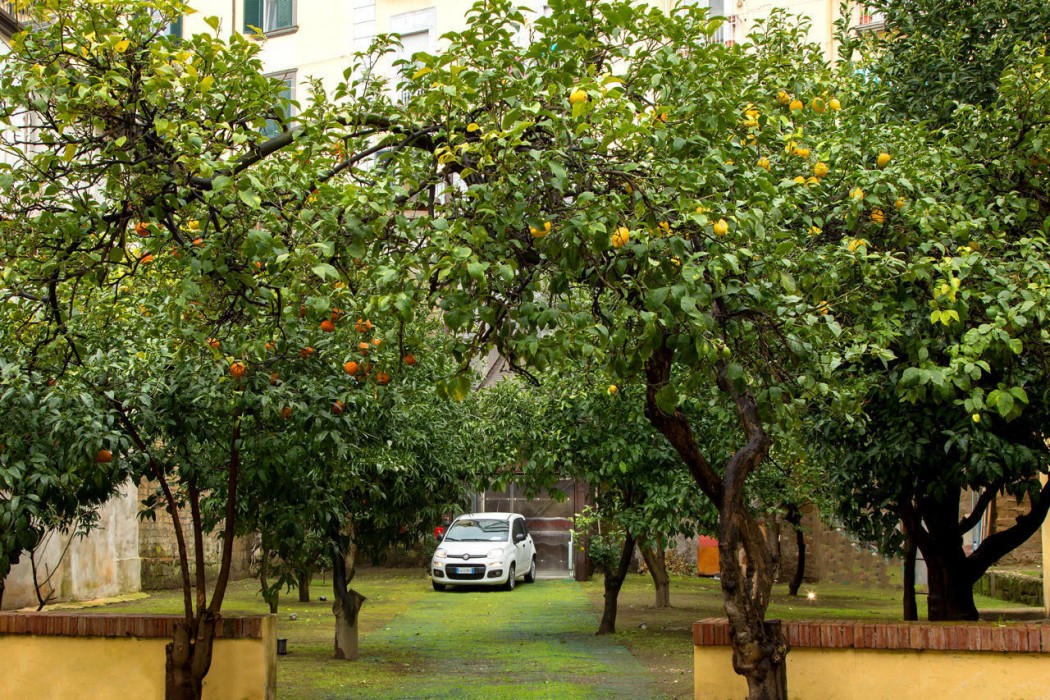 Palazzo Sant'Antonio 2/63