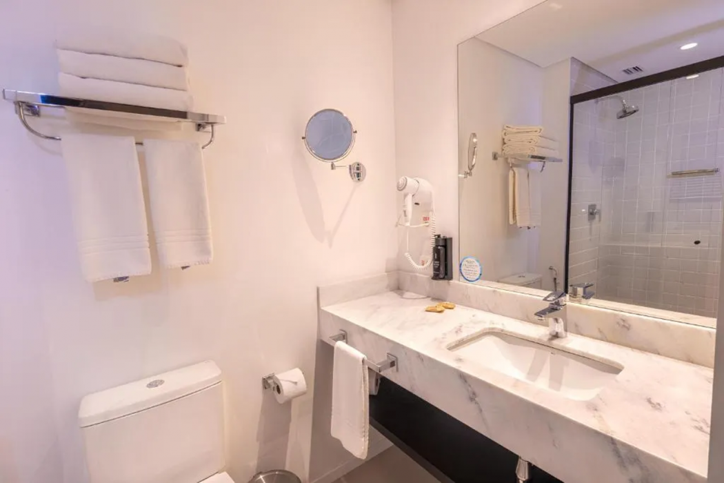 Hotel Intercity Tatuape 12/67