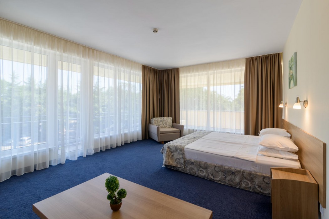 BSA Gradina Hotel & Aquapark 12/57