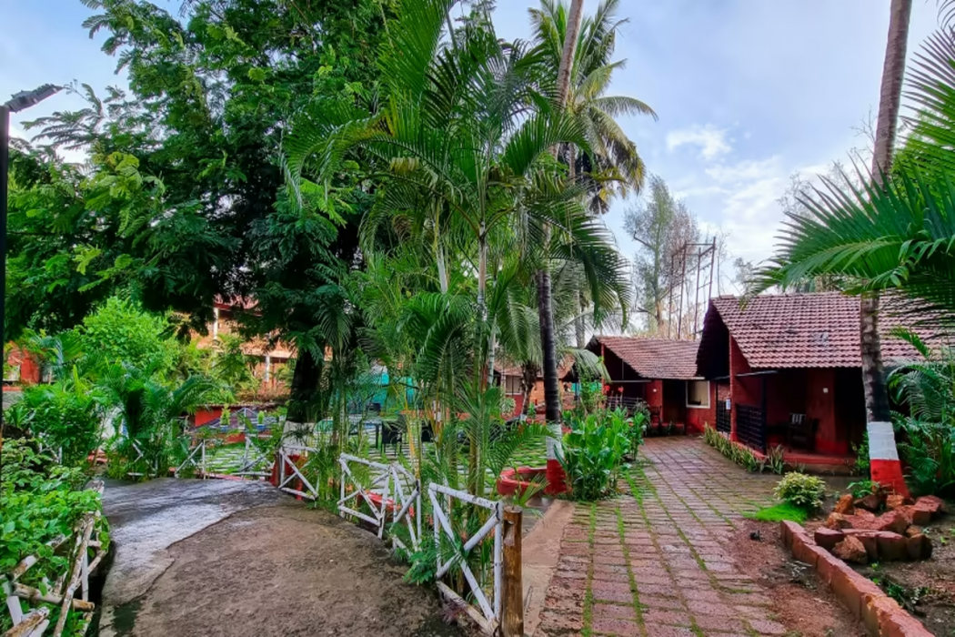 Lotus Eco Beach Resort, Murud Beach-Dapoli, District Ratnagiri 6/74