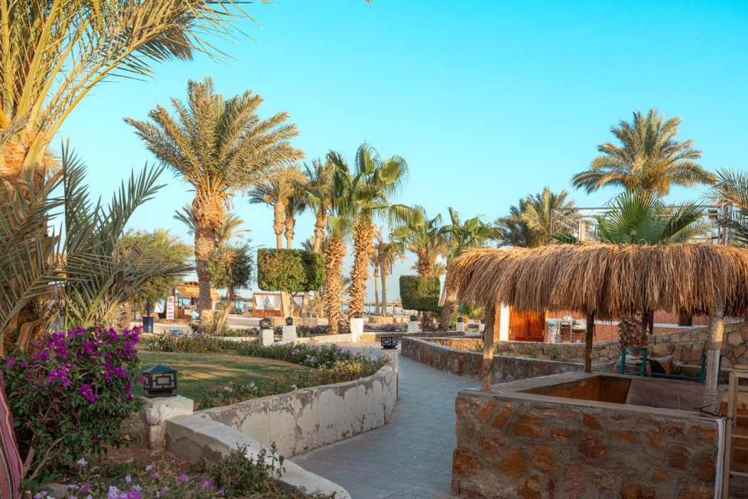 Protels Crystal Beach Resort Marsa Alam 85/121