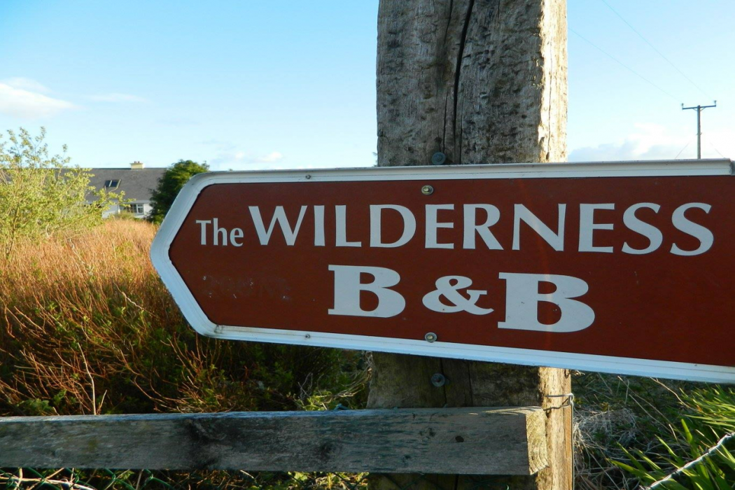 The Wilderness — foto 2