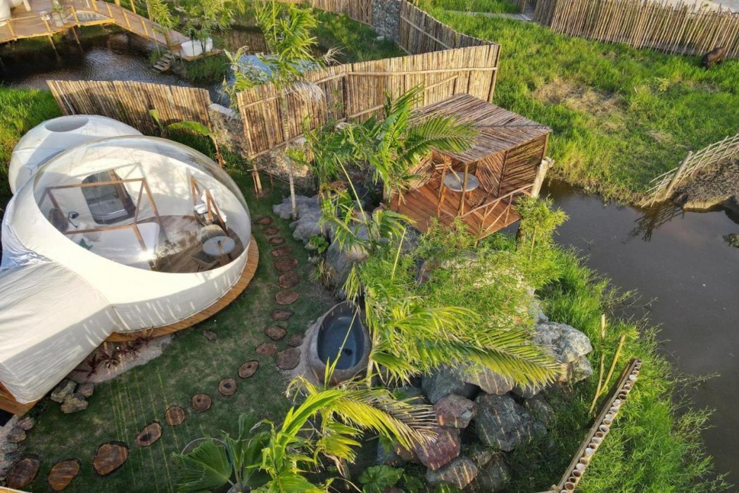 Green Land Bubble Glamping 3/60