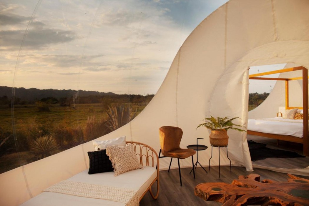 Green Land Bubble Glamping 12/60