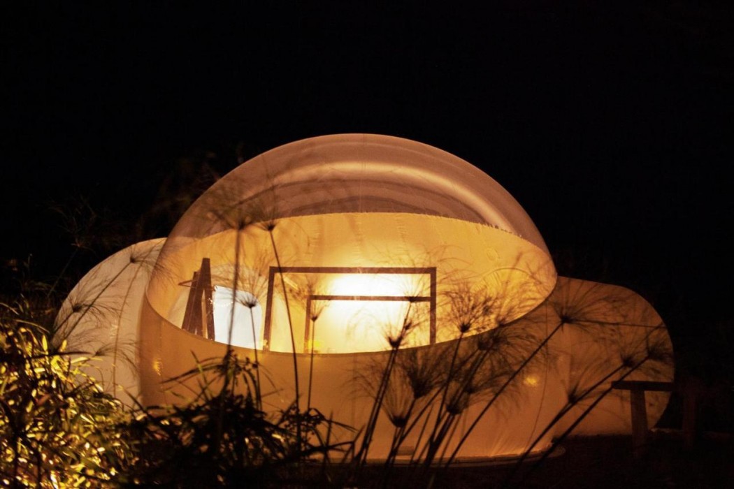 Green Land Bubble Glamping 11/60