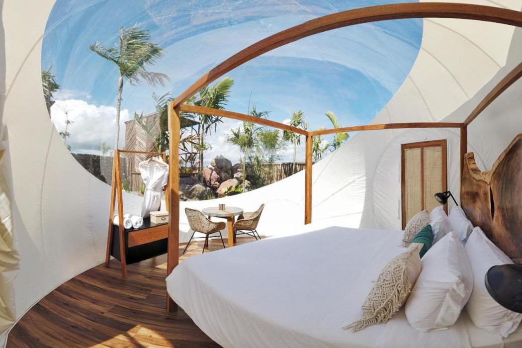 Green Land Bubble Glamping 10/60