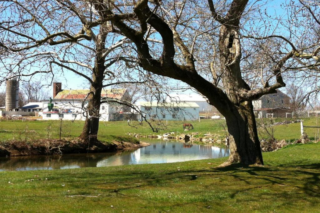 Planingo