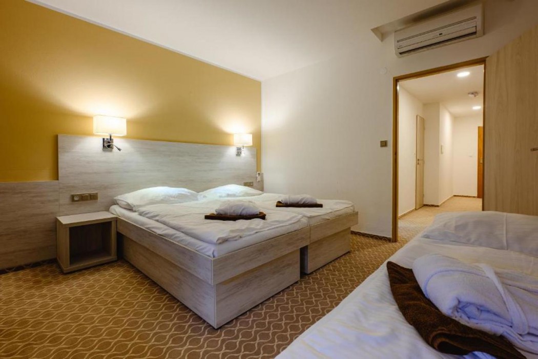 Hotel Vega Luhacovice 16/58