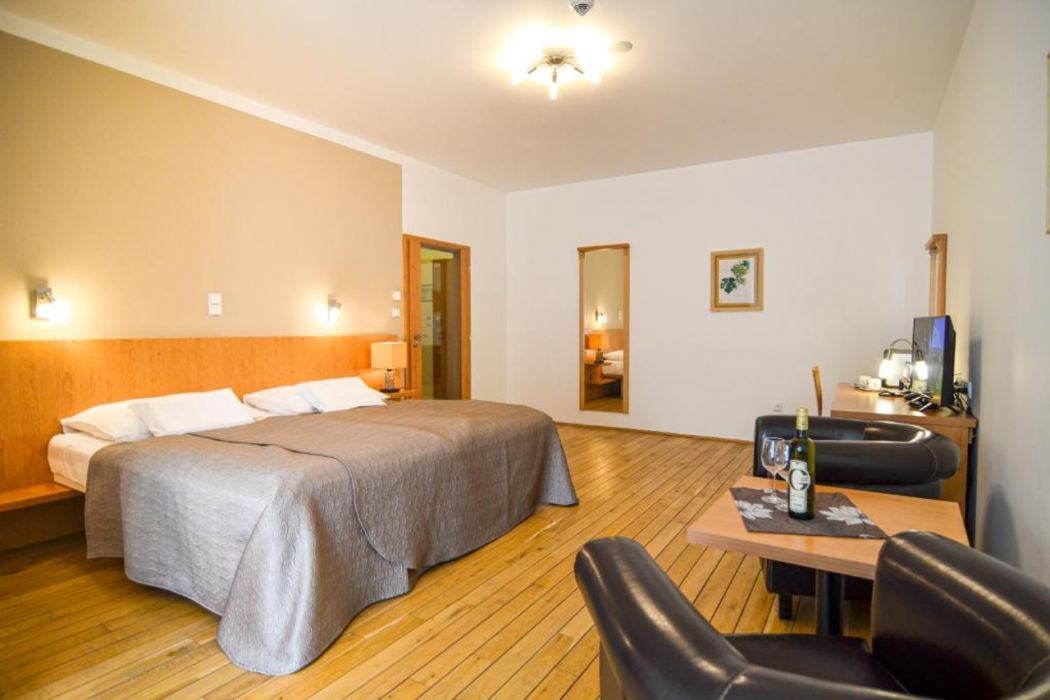 Galant Mikulov Hotel 9/58