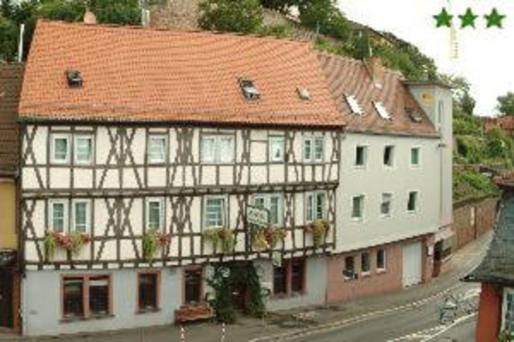 Goldener Karpfen Hotel 2/46