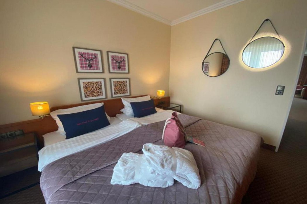 Harz Hotel & Spa Seela 12/73