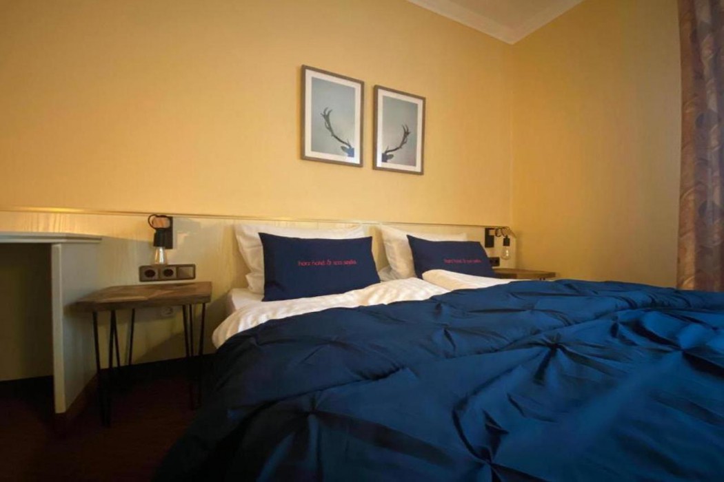 Harz Hotel & Spa Seela 9/73