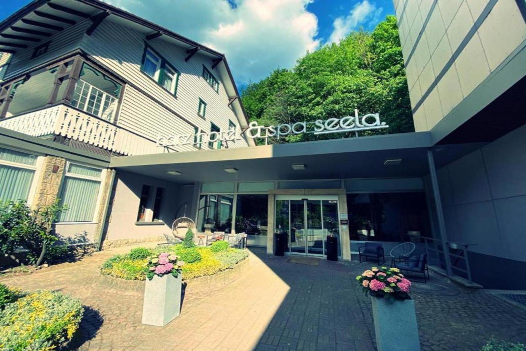 Harz Hotel & Spa Seela 1/73