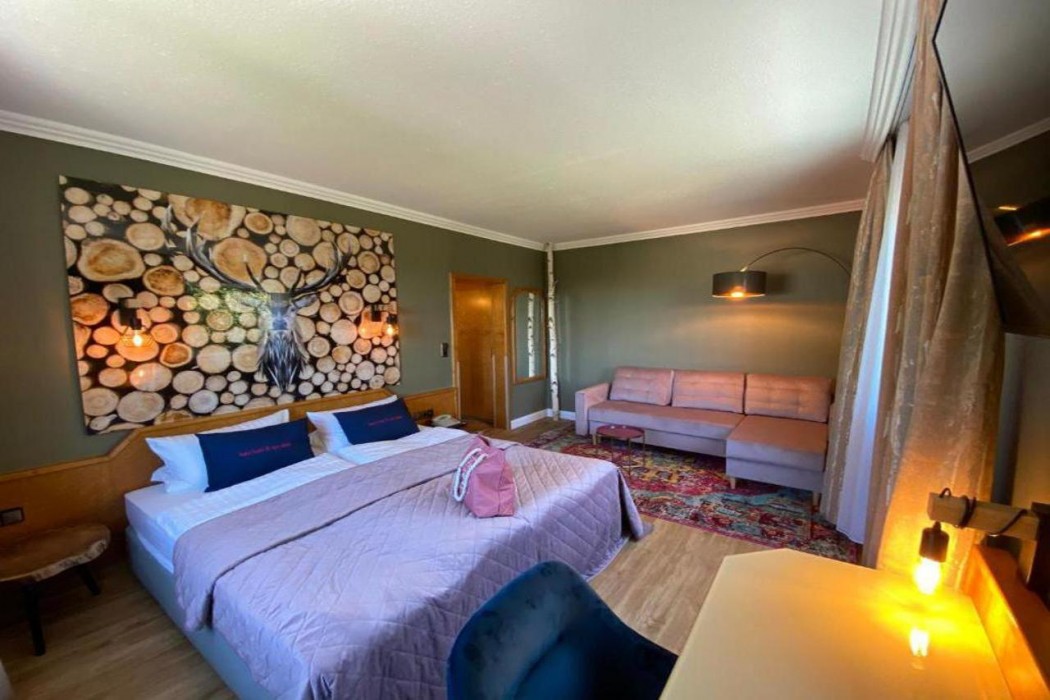 Harz Hotel & Spa Seela 17/73