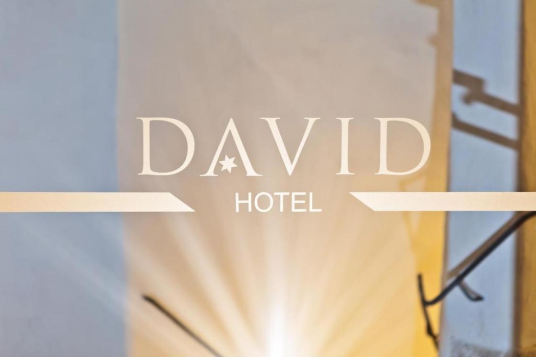 Hotel David 1/56