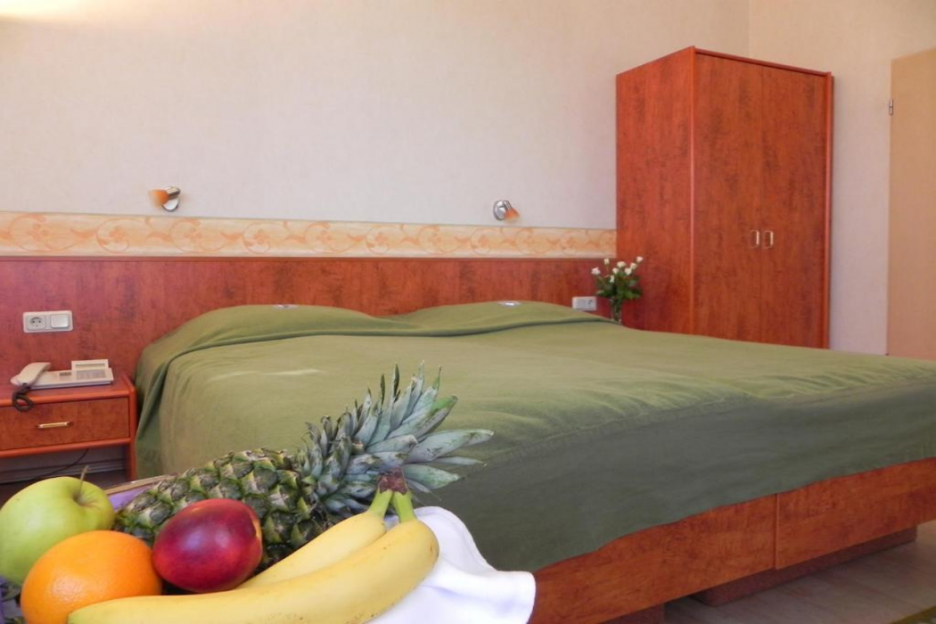 Bahnhof Hotel Saarlouis 7/33