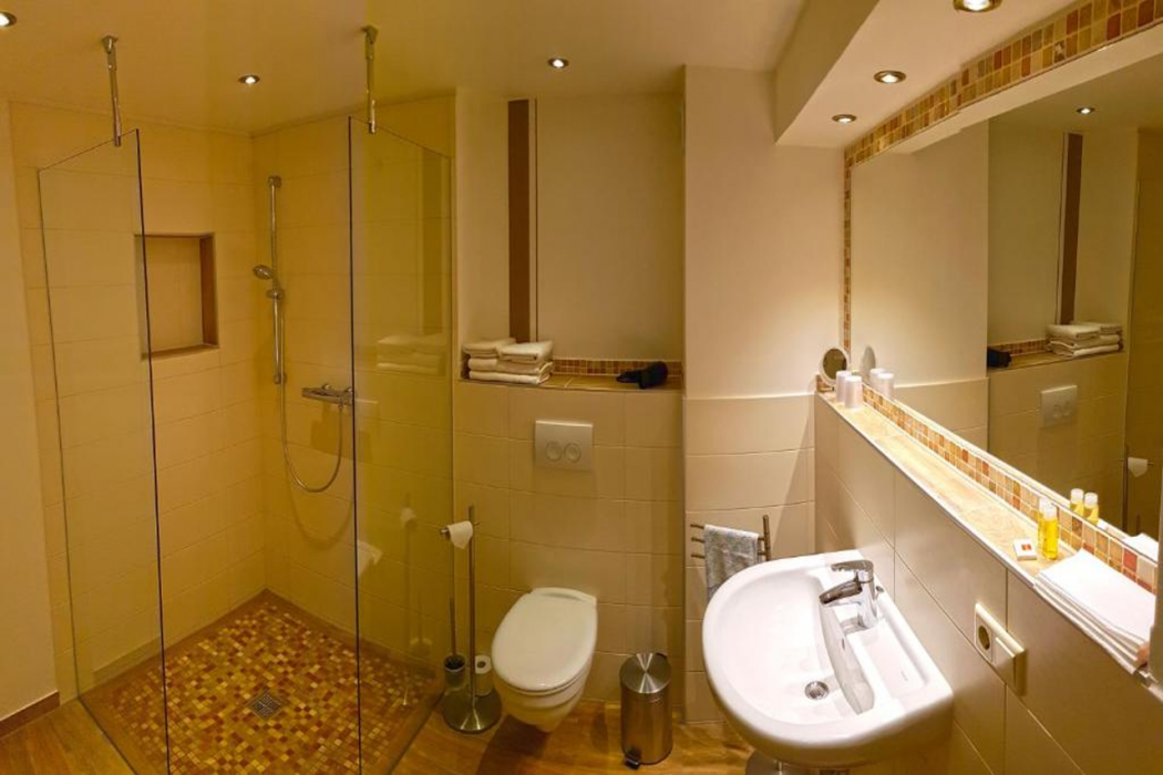 Gotikhotel Frenzelhof 20/42